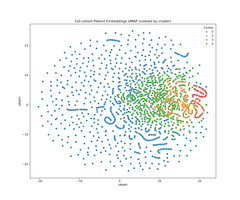 full_cohort_patient_umap_clusters.png